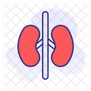 Niere Organ Medizin Symbol