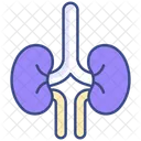Niere Symbol