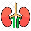 Niere Nephron Menschliches Organ Symbol