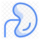 Niere Organ Medizin Symbol