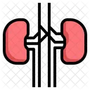 Niere Medizin Gesundheit Symbol