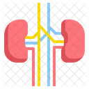 Niere Medizin Gesundheit Symbol