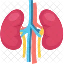 Niere Medizin Organ Symbol