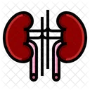 Gesundheit Niere Nephrologie Symbol