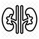 Niere Harnblase Harnwege Symbol