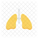 Niere Korper Organ Symbol