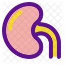Niere Symbol