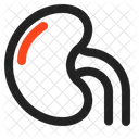 Niere Symbol