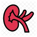Niere Korper Anatomie Symbol