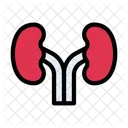 Niere Urin Korper Symbol