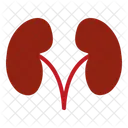 Niere  Symbol