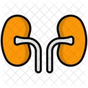 Niere Symbol