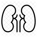Niere  Symbol
