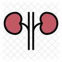 Niere Symbol