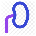 Niere Organ Gesundheitswesen Symbol