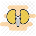 Niere Symbol