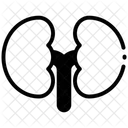 Niere Symbol
