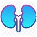 Niere Symbol