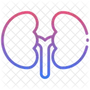 Niere Symbol