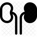 Niere Harn Blase Symbol
