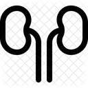 Niere Harn Blase Symbol
