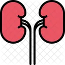 Niere Organ Gesundheitswesen Symbol