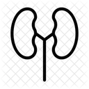 Niere  Symbol
