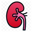 Niere Mensch Organ Symbol
