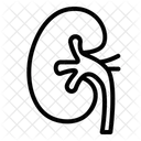 Niere Mensch Organ Symbol
