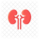 Niere Organ Gesundheit Symbol