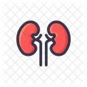 Niere Organ Gesundheit Symbol