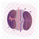 Nieren  Symbol