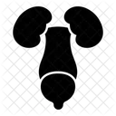 Nieren  Symbol