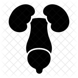 Nieren  Symbol