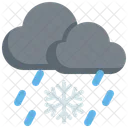 Snow Snowflake Rain Icon
