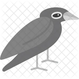 Nightingale  Icon