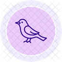 Nightingale Bird Singing Icon