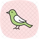 Nightingale Bird Singing Icon