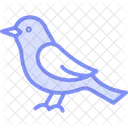 Nightingale Bird Singing Icon