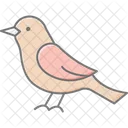 Nightingale Bird Singing Icon