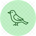 Nightingale Bird Singing Icon
