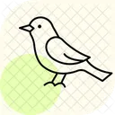 Nightingale Bird Singing Icon