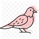 ヨタカ、鳥、夜行性 アイコン