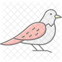 ヨタカ、鳥、夜行性 アイコン