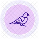 ヨタカ、鳥、夜行性 アイコン