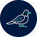 ヨタカ、鳥、夜行性 アイコン