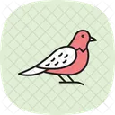 ヨタカ、鳥、夜行性 アイコン