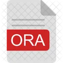 Hora Archivo Formato Icon