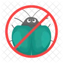 Ladybug Beetle Bug Icon
