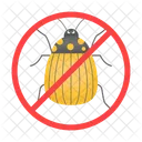 Ladybug Beetle Bug Icon